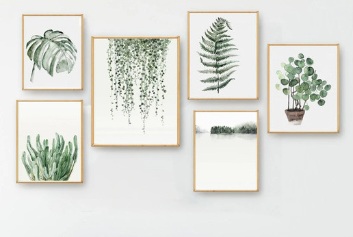 Canvas-slikarsko-platno_2/canvas_II