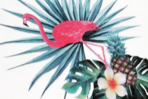 Flex-folije-za-tisk_1_1/4655